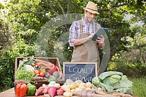 Farmer selling organic veg at market