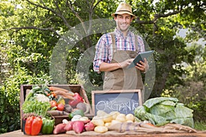 Farmer selling organic veg at market