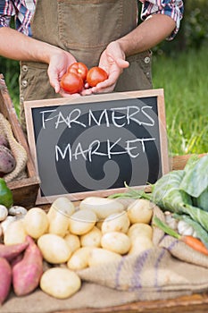 Farmer selling organic veg at market