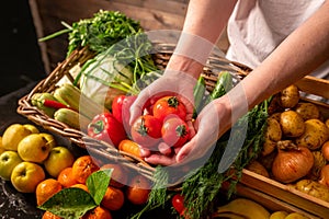 Farmer selling organic veg at market. Rustic style.Healthy food concept