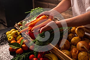 Farmer selling organic veg at market. Rustic style.Healthy food concept