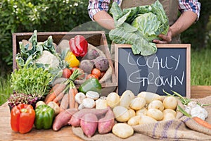 Farmer selling organic veg at market