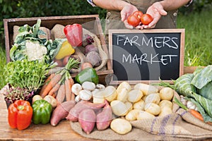 Farmer selling organic veg at market