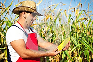 Farmer showing corn maize ear at field