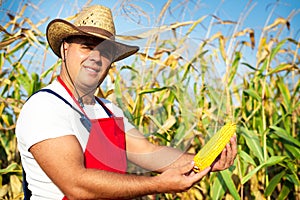 Farmer showing corn maize ear at field