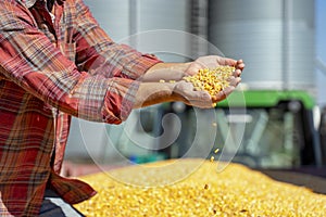 Farmer Showing Freshly Harvested Corn Maize Grains Against Grain Silo photo