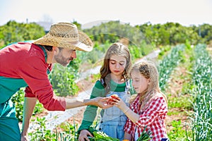 Farmer showing vegetables harvest to kid girls