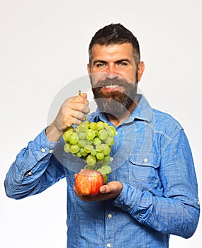 Farmer shows harvest. Man with beard holds bunch of grapes