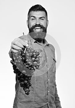 Farmer shows his harvest. Viticulture and gardening concept