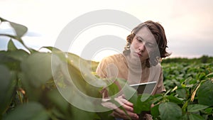 farmer sitting through the field. business farming and lifestyle irrigation concept. a male farmer in a beige T-shirt