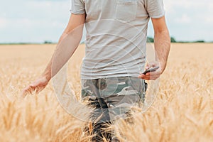 Farmer with smartphone checking up on development of wheat crops in field