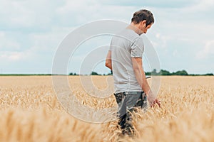 Farmer with smartphone checking up on development of wheat crops in field