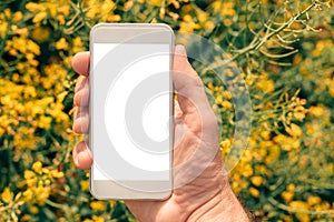 Farmer with smartphone mock up screen in rapeseed field