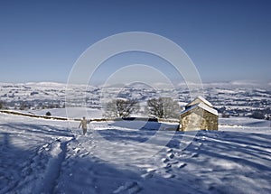 Farmer in snowy countryside