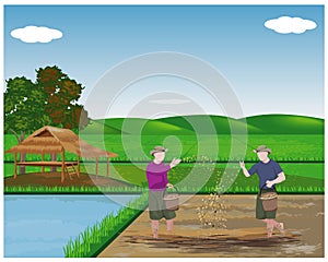 Farmer sowing rice