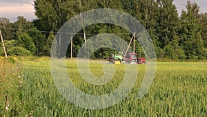 Farmer spray wheat field summer season, herbicides, pesticides