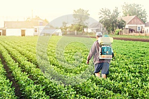 A farmer with a sprayer walks through the potato plantation. Treatment of the farm field against insect pests and fungal