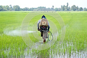 Farmer with sprayer