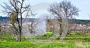 farmer spraying apple orchard in april, spring