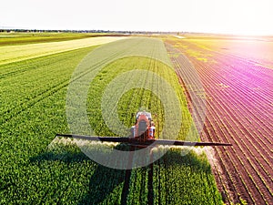 Farmer spraying green wheat field