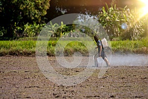 Farmer spraying insecticide in rice field in countryside