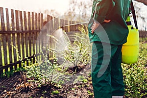 Farmer spraying tree with manual pesticide sprayer against insects in spring garden. Agriculture and gardening