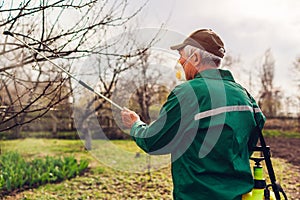 Farmer spraying tree with manual pesticide sprayer against insects in spring garden. Agriculture and gardening