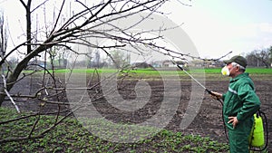 Farmer spraying tree with manual pesticide sprayer against insects in spring garden. Agriculture and gardening