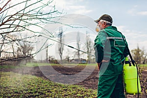 Farmer spraying tree with manual pesticide sprayer against insects in spring garden. Agriculture and gardening