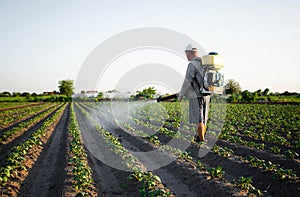 Farmer sprays pesticides on plantation. Use of chemicals for protection of plants from insects and fungal infections