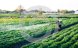 A farmer sprays a solution of copper sulfate on plants of potato bushes. Use chemicals in agriculture. Agriculture and