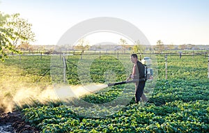 A farmer sprinkles a potato plantation with an antifungal chemical. Use chemicals in agriculture. Fight against fungal infections