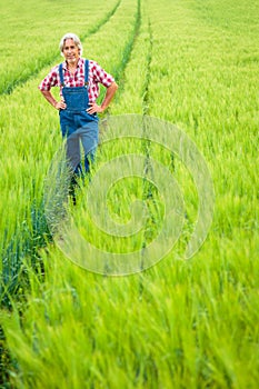 Farmer Standing In A Field