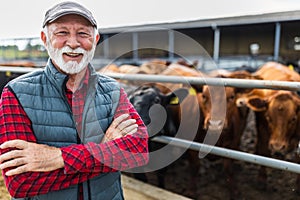 Farmer standing in front of cattle ranch