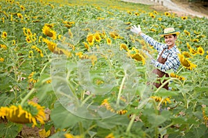 Farmer standing happy in a sunflower field, looking at the crop
