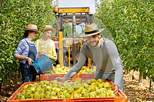 Farmer standing near crate with bruised apples