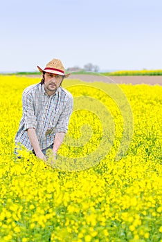 Farmer Standing in Oilseed Rapeseed Cultivated Agricultural Field photo