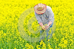 Farmer Standing in Oilseed Rapeseed Cultivated Agricultural Field photo