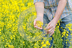 Farmer Standing in Oilseed Rapseed Cultivated Agricultural Field photo