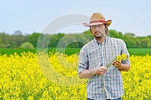 Farmer Standing in Oilseed Rapseed Cultivated Agricultural Field photo