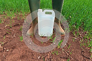 Farmer standing over insecticide jug in wheatgrass field