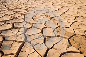 Farmer standing on parched landscape.