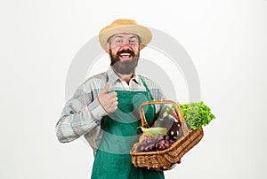 Farmer straw hat hold eggplant and basket vegetables. Fresh organic vegetables wicker basket. Man bearded presenting