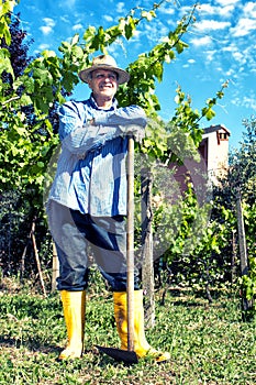 Farmer Straw Hat Spade Portrait Break Vineyard