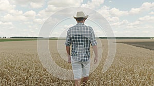 Farmer in straw hat walking through a ripe wheat field in the countryside, image from the back