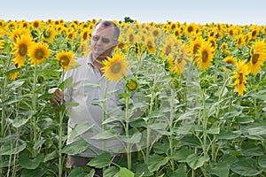 Farmer on a sun flower field