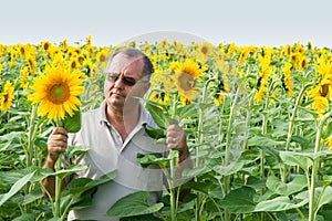 Farmer on a sun flower field