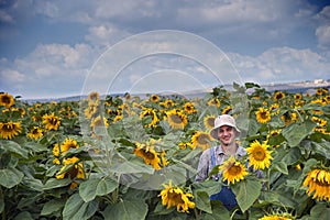 Farmer in sunflower field