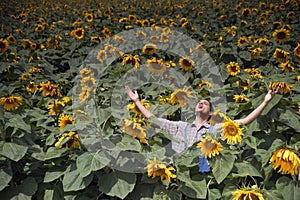 Farmer in sunflower field