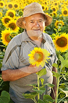 farmer in sunflower field